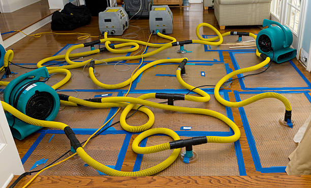 Professional Water Extraction technician working in Kingsley, IA